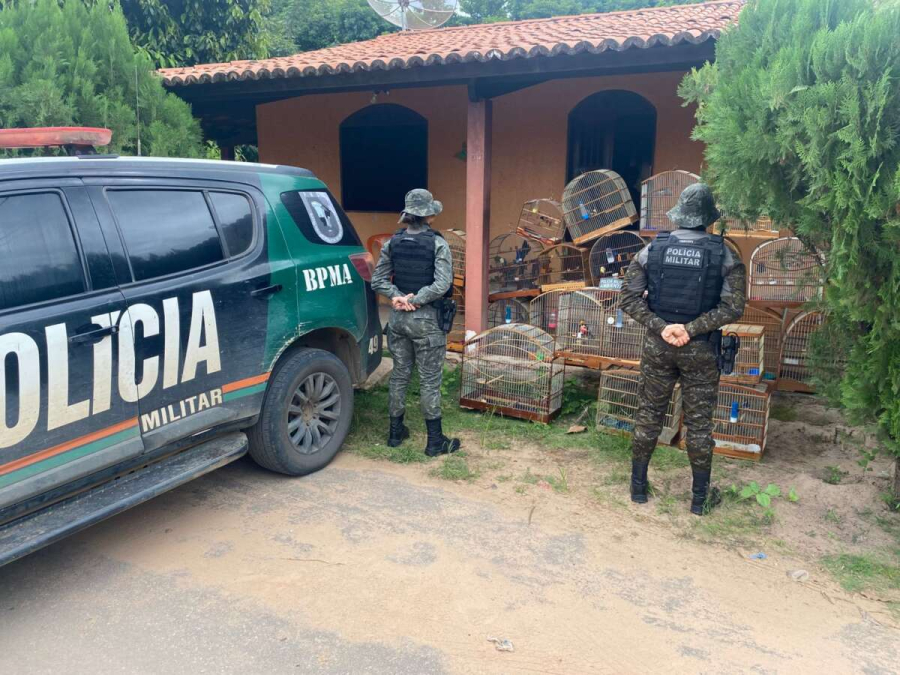 HOMEM É DETIDO E 21 AVES SILVESTRES SÃO RESGATADAS NO CRATO