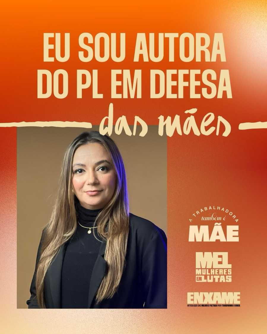 VEREADORA AMANDA DE UBELARDO ALERTA PARA POSSÍVEIS IMPACTOS IMOBILIÁRIOS EM PROJETO DO EXECUTIVO E DEFENDE MAIS ACOLHIMENTO ÀS FAMÍLIAS ATÍPICAS